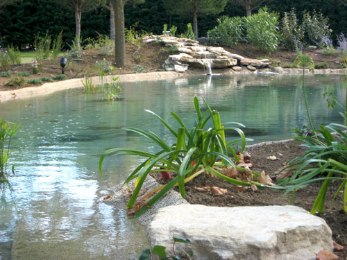 fontaine naturelle, cascade dans un jardin aquatique